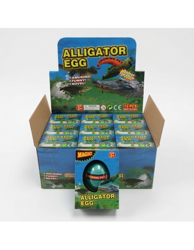Growing Crocodile Eggs