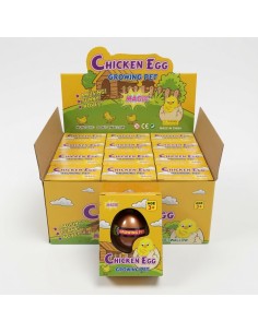 Growing Chicken Eggs