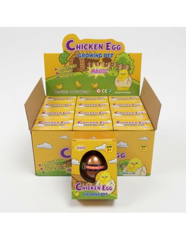 Growing Chicken Eggs