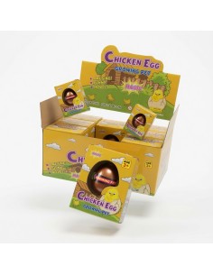 Growing Chicken Eggs 2