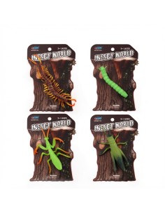 Insect