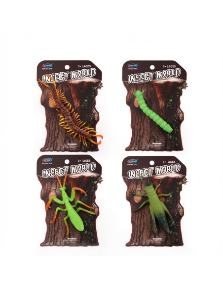 Insect