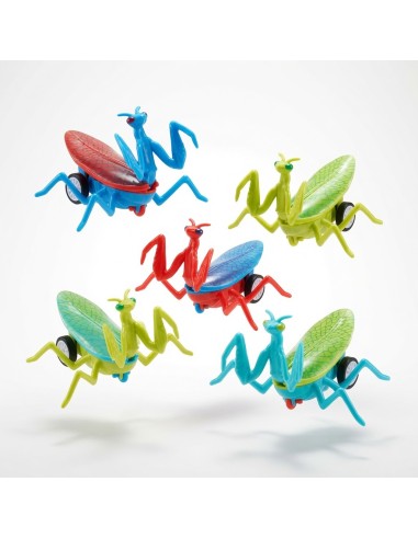 Solid Color Pullback Mantis