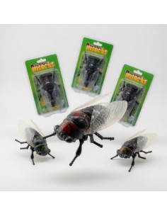Wind Up Simulation Summer Cicada