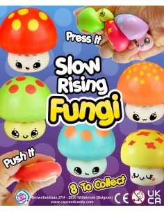 Slow Rising Fungi